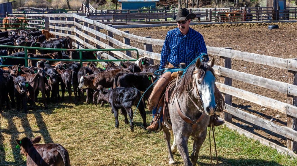 A Rancher’s Greatest Challenge